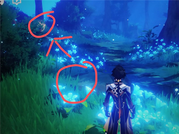 关于《原神》中的奇异声源追寻，全流程指南详尽解析