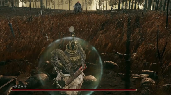 关于艾尔登法环DLC中的剑型长矛，如何获得的详细指南及攻略说明  
