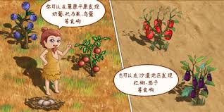 村落生活中，食物的制作方式有哪些？——如何在村落中进行烹饪