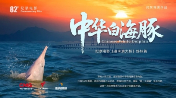 这是全球首部以海洋生物为主题的纪录电影《中华白海豚》正式进行试映，标志着该领域的突破性进展！