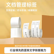 钉钉文件预览无法显示的应对策略——解决钉钉预览失败的方法详解