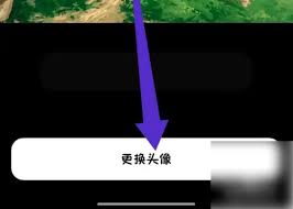 猫箱如何更换头像-猫箱怎样更换头像