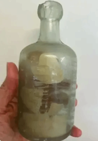 一封迟到了109年的家书？在澳大利亚海滩意外发现一只漂流瓶，内藏一战士兵的信件