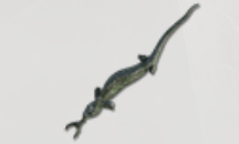 关于《艾尔登法环》中大蜥蜴大剑的获取位置与方法介绍