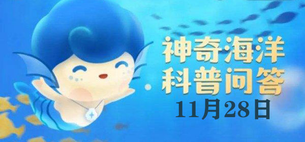 一些红树林植物的叶片具有分泌白色晶体的能力，你能猜出它们是哪类植物吗？

