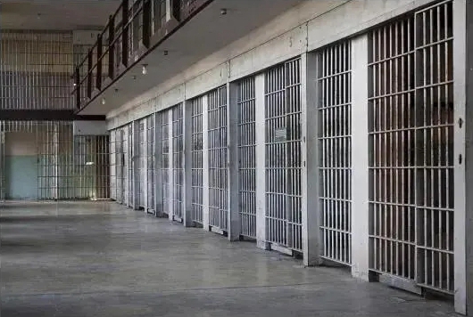 关于啄木鸟满天星高压监狱的观看渠道在哪里-提供最新的观看地址信息  
