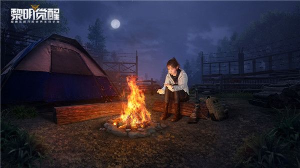 黎明觉醒排队问题的应对策略——详细解决方案解析 
