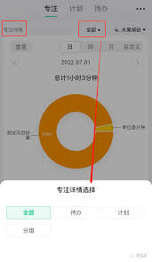 飞鱼计划中如何移除专注记录-飞鱼计划删除专注记录的操作指南