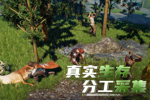 双人合作生存类手机游戏推荐——组队建造家园的精彩体验