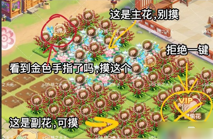 关于《我的花园世界》中花灵召唤的详细技巧与攻略