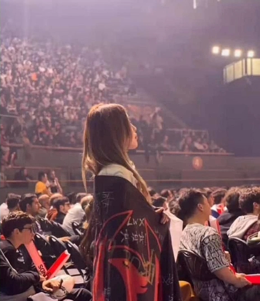 凤凰台上，凤凰自在飞翔，随风而去的凤影空荡荡，江水依旧默然流淌——FPX宣布退出LPL

