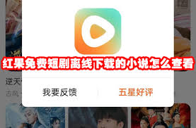 如何获取关于红果免费短剧的详细资料？想了解红果短剧的相关信息，有哪些便捷的途径呢？

