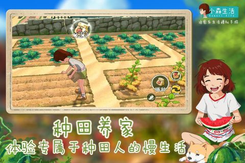 2022年度值得体验的悠闲慢节奏佛系游戏推荐，无需过度投入，不必大肆氪金