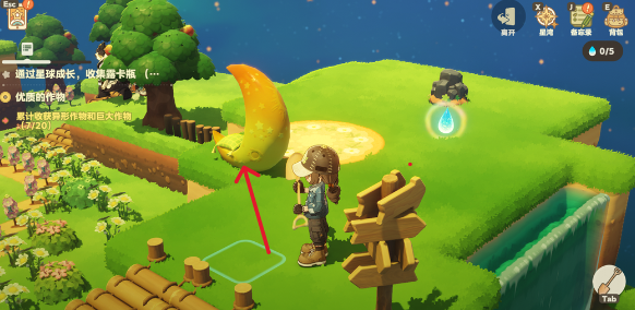 星布谷地中徘徊螳螂的捕猎技巧解析