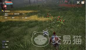 荒野起源中饰品的获取途径主要有哪些？-荒野起源如何获得各种饰品的详细攻略