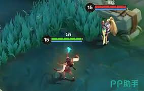 关于如何操作决胜巅峰中的飞羽角色——一份详尽的玩法指南