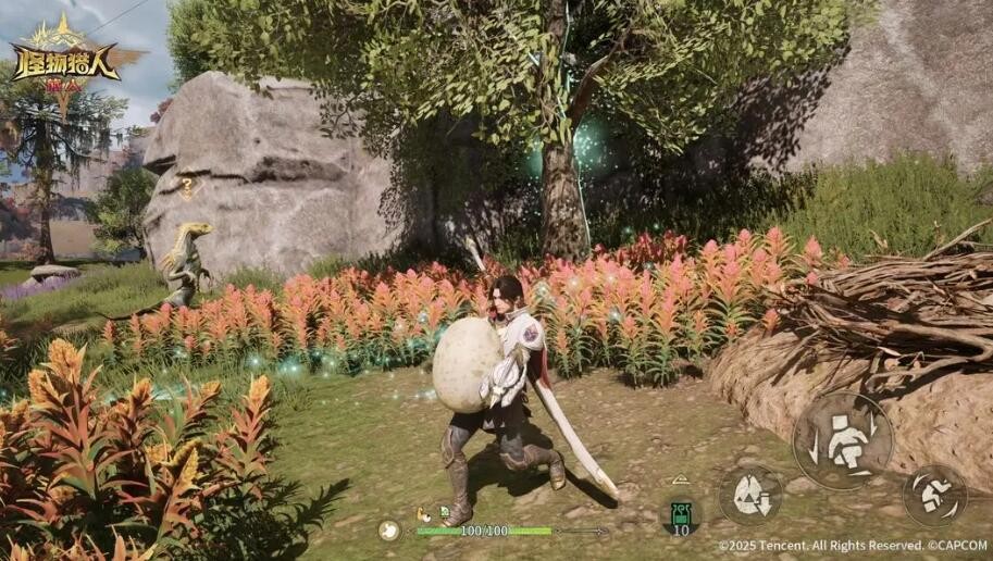 关于《怪物猎人旅人》中搬运蛋任务的详细操作与策略解析