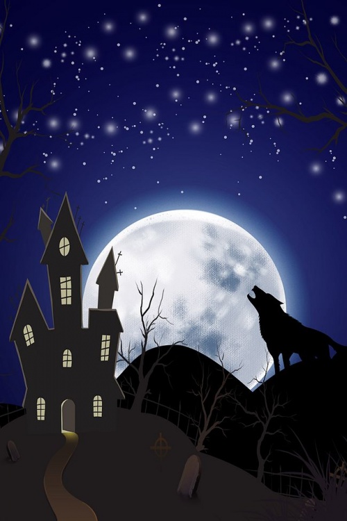 在狼人杀中进行充值后，玩家可以体验到哪些全新玩法？