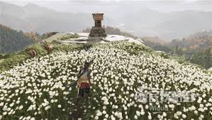 羊蹄山之魂全神社的位置在哪里？这些神社都散布在哪些地点？