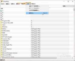 关于在Everything中启用圆括号的设置方法——如何调整以允许在搜索中使用圆括号