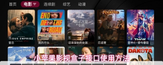 关于小苹果影视盒子接口的操作指南 关于小苹果影视盒子接口的操作指南