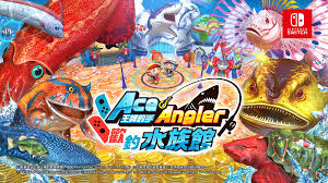 如何选购块魂——块魂购买全攻略
如何选购块魂——块魂购买全攻略