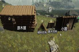 如何成功进入森林之子中的小型木屋？-森林之子小屋的入门指南