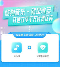 酷狗音乐年费会员如何办理？——详细教程教你轻松开启豪华VIP连续包年的体验

