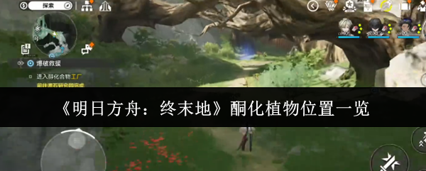 《明日方舟：终末地》中酮化植物的具体位置介绍