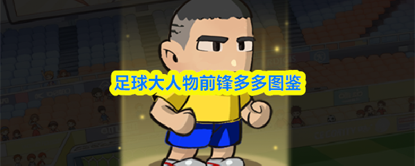 足球界的传奇前锋多多详尽介绍