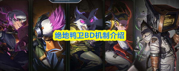 绝地鸭卫BD体系详细解析
