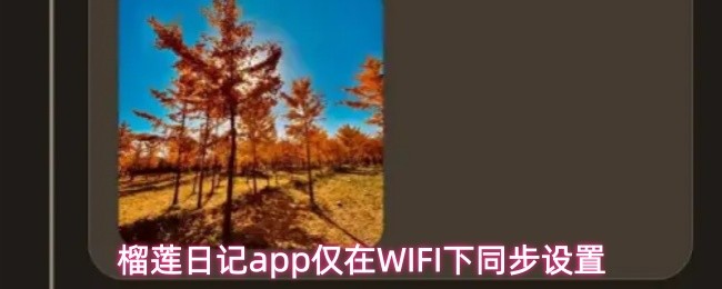 榴莲日记应用程序只允许在连接Wi-Fi网络时进行数据同步