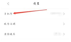 豚豚剧如何有效清除缓存——豚豚剧清理缓存的详细指南

