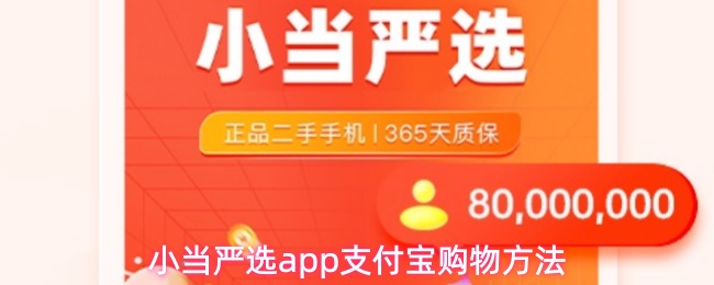 小当严选app使用支付宝进行购物的详细步骤指南