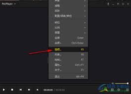 PotPlayer如何提升输出色彩空间参数的设置与调优