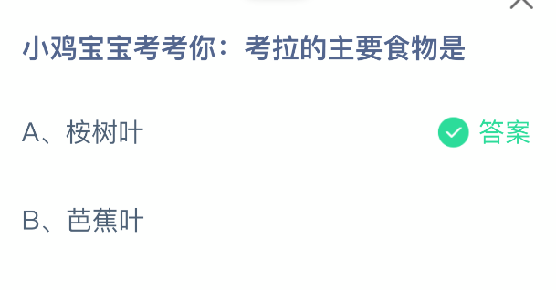 小鸡宝宝出题考你：考拉的主要饮食来源是？