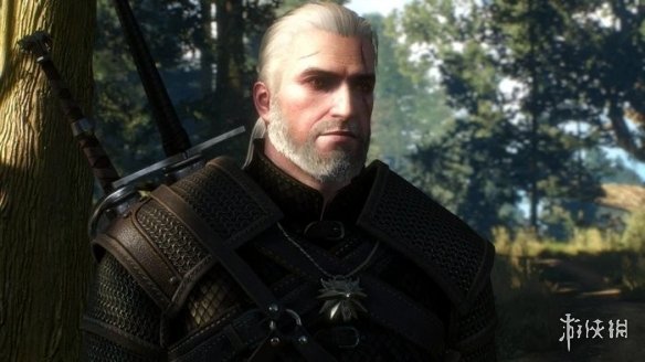 分析师预测明年5月将推出《巫师3》的全新大型DLC，且《巫师》重制版的发行时间有所推迟！__
