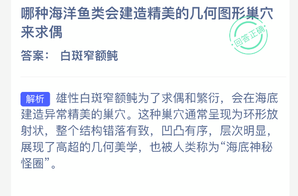 哪种海洋鱼类会用复杂的几何图案构筑巢穴以吸引配偶？
