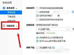 迅雷极速版如何启用老板键-迅雷极速版怎样开启老板键