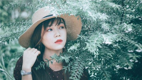 丝瓜榴莲秋葵向日葵芭乐草莓app免费版下载