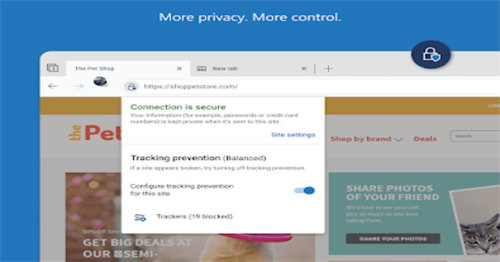 edge canary