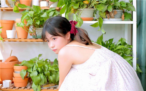 小猪草莓榴莲秋葵鸭脖破解版