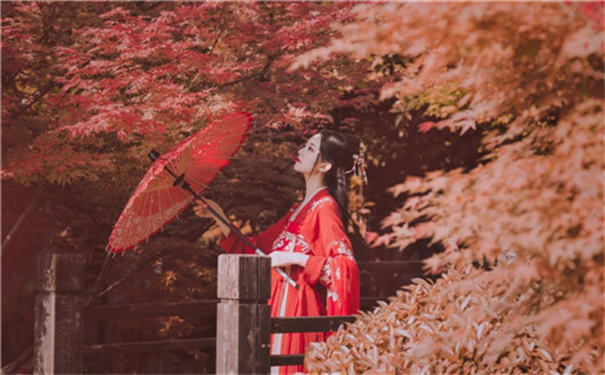 榴莲 芭乐 丝瓜 秋葵