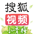 搜狐视频app