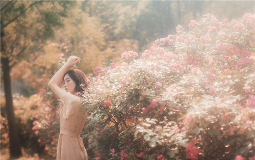花季传媒夜里十大