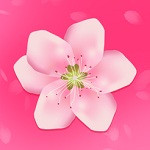 向日葵旧版免费版下载安装
