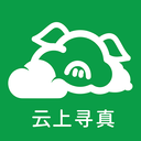 云上寻真