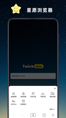 Twink浏览器