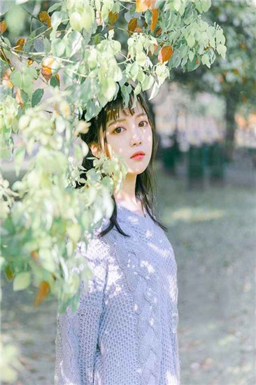 茄子视频app视频 下载