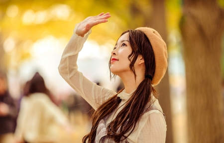 BT天堂网在线WWW中文解锁版